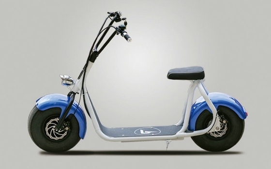 Cool City Electric Scooter E Bike With Two Big Wheeler , Disc Brake
