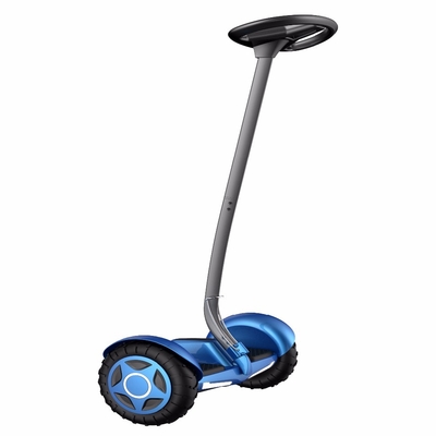 Hands Smart 10 Inch Electric Scooter With 30 Degree Max Degree , CE Certification