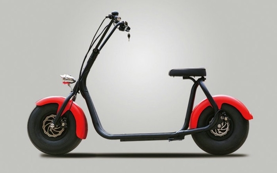 Cool City Electric Scooter E Bike With Two Big Wheeler , Disc Brake