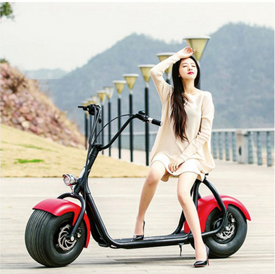 18 Inch Unique Haley 1000w City Electric Scooter With Rear Shock Absorber